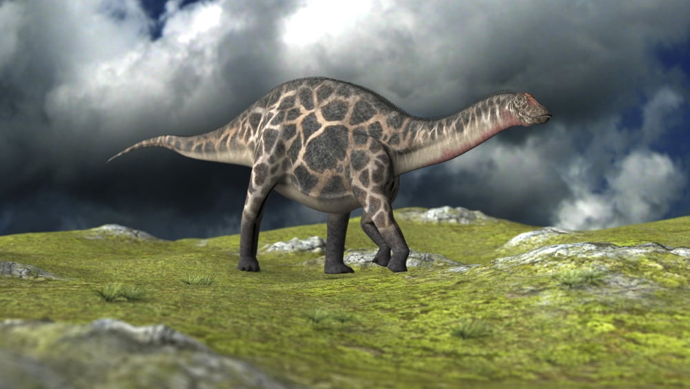 Dicraeosaurus walking across a field Canvas Art - Kostyantyn IvanyshenStocktrek Images (19 x 11)