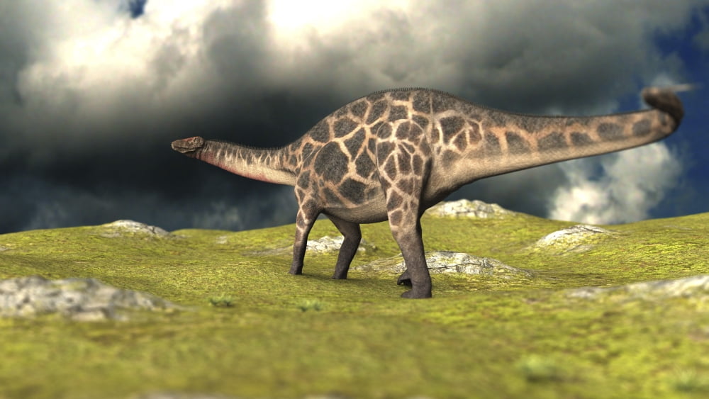 Dicraeosaurus walking across a field Canvas Art - Kostyantyn IvanyshenStocktrek Images (38 x 22)
