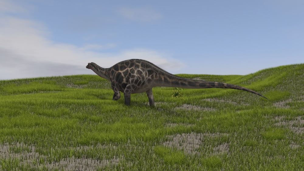 Dicraeosaurus walking across a grassy field Canvas Art - Kostyantyn IvanyshenStocktrek Images (19 x 11)