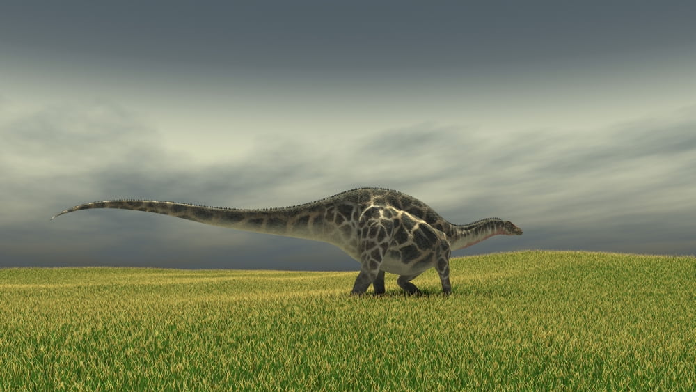 Dicraeosaurus walking across a grassy field Canvas Art - Kostyantyn IvanyshenStocktrek Images (19 x 11)