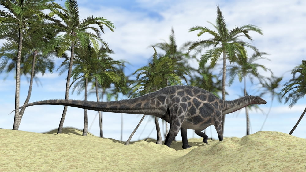 Dicraeosaurus walking across a prehistoric landscape Canvas Art - Kostyantyn IvanyshenStocktrek Images (38 x 22)