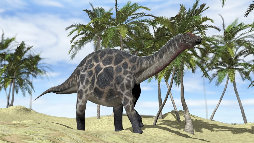 Dicraeosaurus walking across a prehistoric landscape Canvas Art - Kostyantyn IvanyshenStocktrek Images (38 x 22)