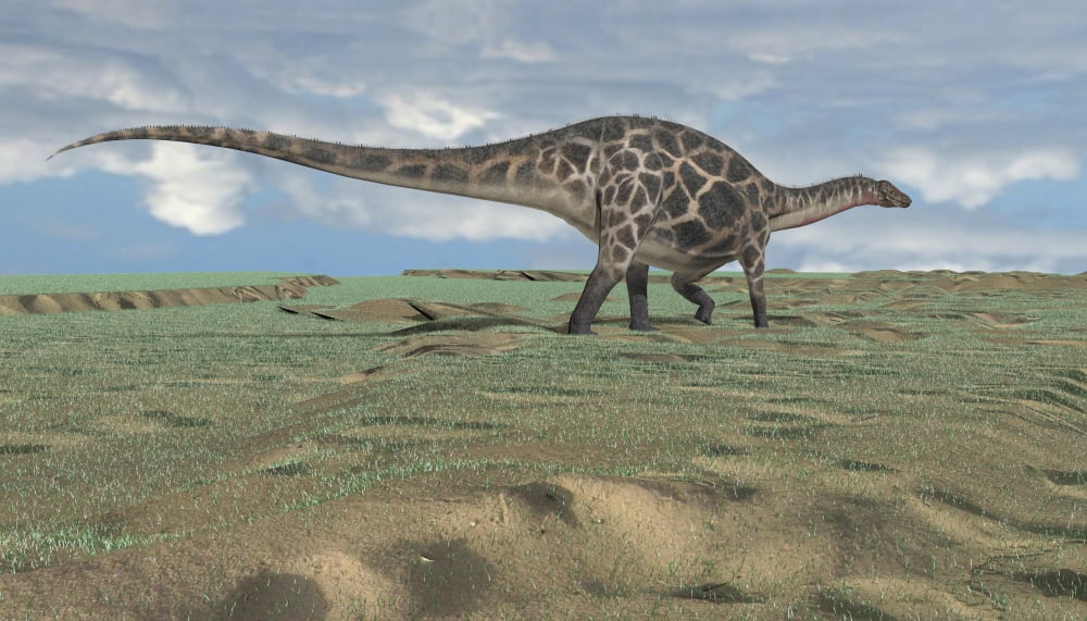 Dicraeosaurus walking across an open desert Canvas Art - Kostyantyn IvanyshenStocktrek Images (38 x 22)