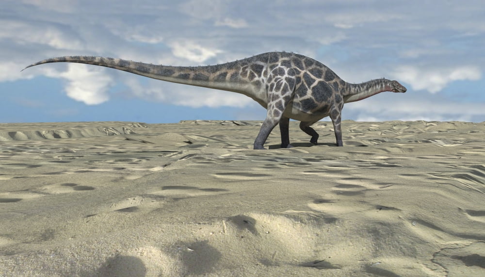 Dicraeosaurus walking across an open desert Canvas Art - Kostyantyn IvanyshenStocktrek Images (38 x 22)
