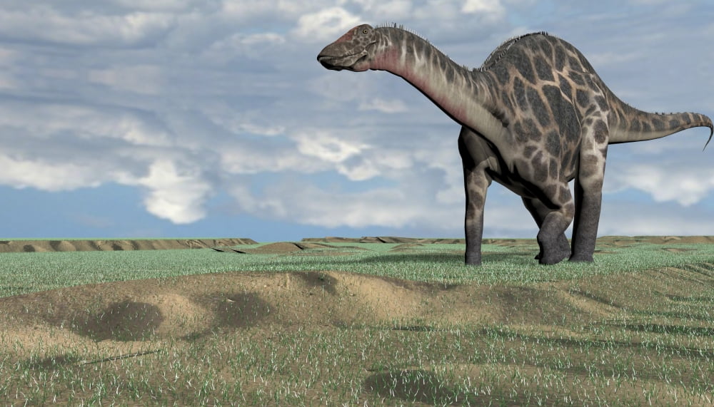 Dicraeosaurus walking across an open desert Canvas Art - Kostyantyn IvanyshenStocktrek Images (38 x 22)