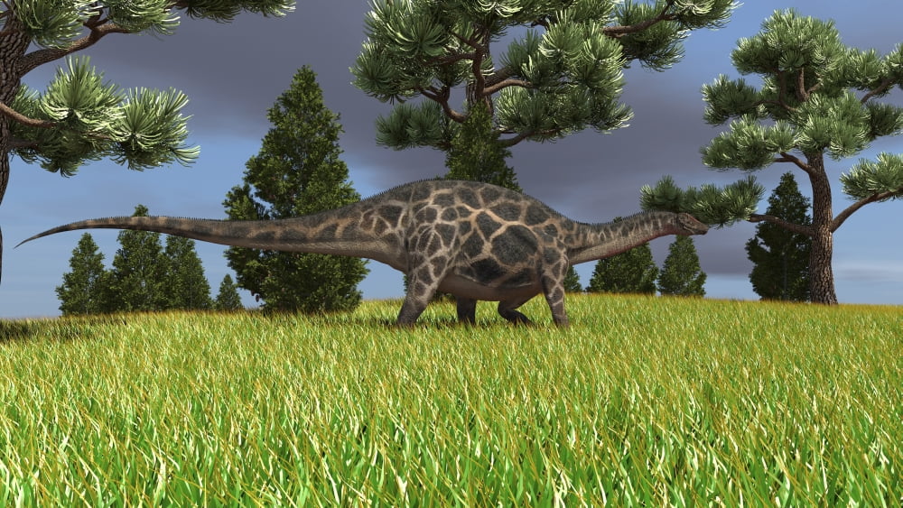 Dicraeosaurus walking across an open field Canvas Art - Kostyantyn IvanyshenStocktrek Images (19 x 11)