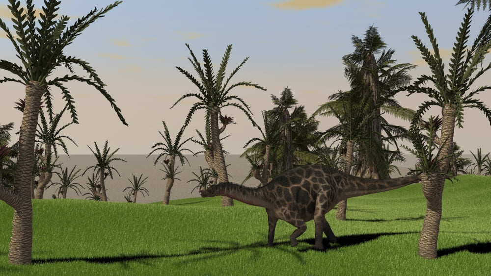 Dicraeosaurus walking across an open field Canvas Art - Kostyantyn IvanyshenStocktrek Images (38 x 22)