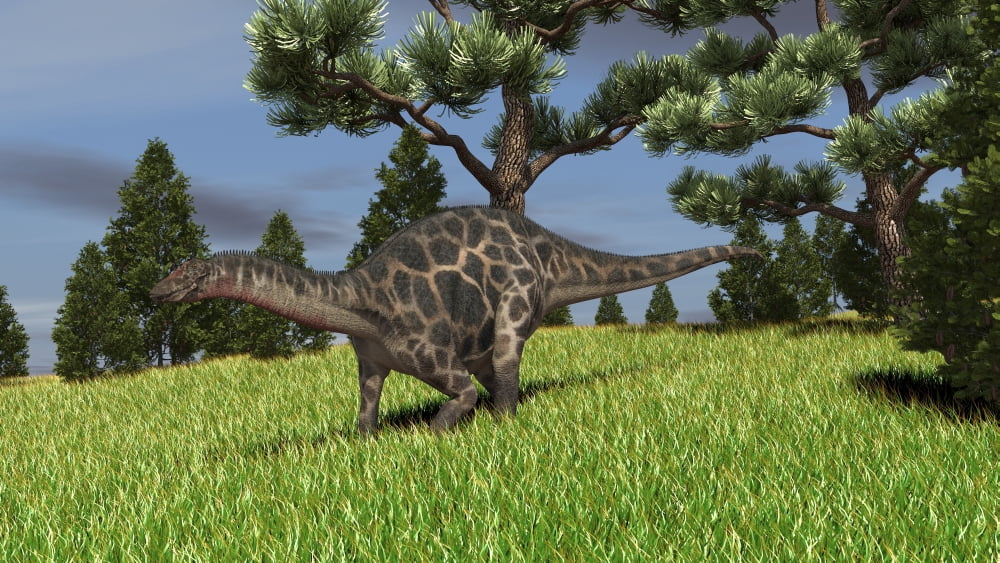 Dicraeosaurus walking across an open field Canvas Art - Kostyantyn IvanyshenStocktrek Images (38 x 22)