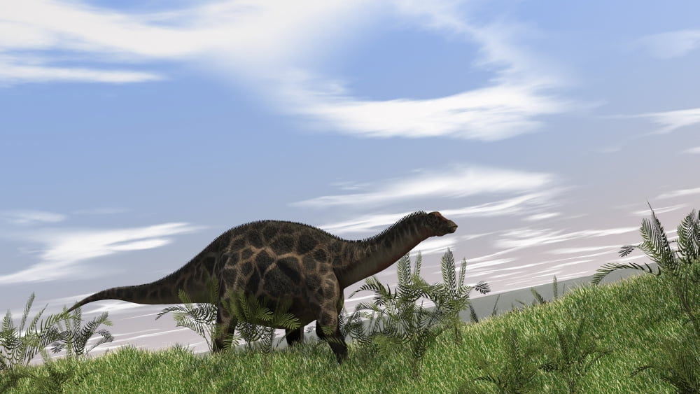 Dicraeosaurus walking across an open field Canvas Art - Kostyantyn IvanyshenStocktrek Images (38 x 22)