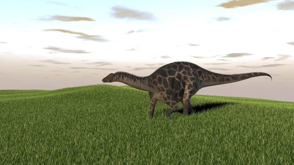 Dicraeosaurus walking across prehistoric grasslands Canvas Art - Kostyantyn IvanyshenStocktrek Images (38 x 22)
