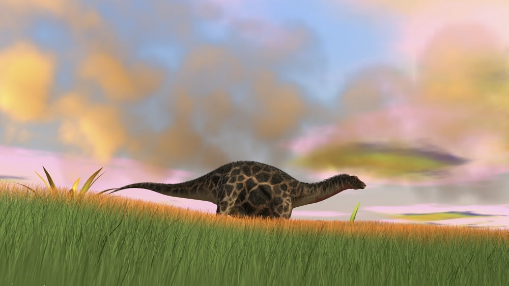Dicraeosaurus walking across prehistoric grasslands Canvas Art - Kostyantyn IvanyshenStocktrek Images (38 x 22)