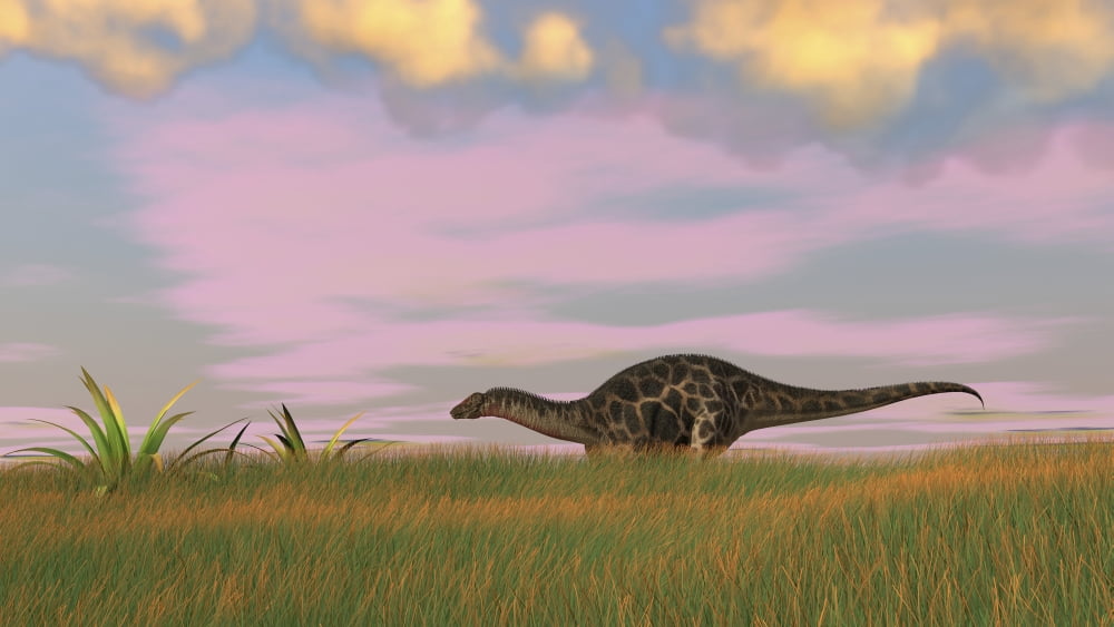 Dicraeosaurus walking across prehistoric grasslands Canvas Art - Kostyantyn IvanyshenStocktrek Images (38 x 22)