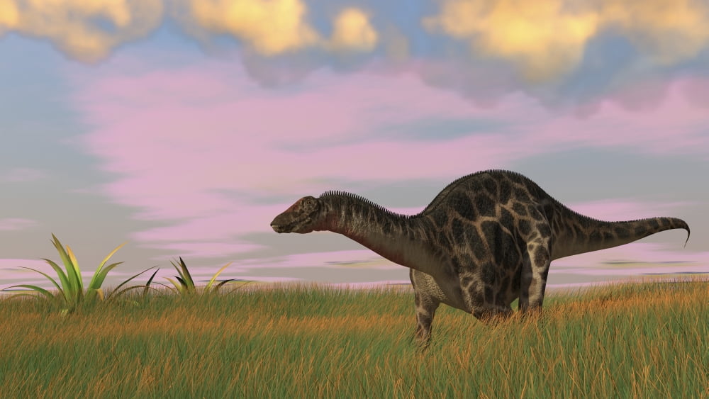 Dicraeosaurus walking across prehistoric grasslands Canvas Art - Kostyantyn IvanyshenStocktrek Images (38 x 22)