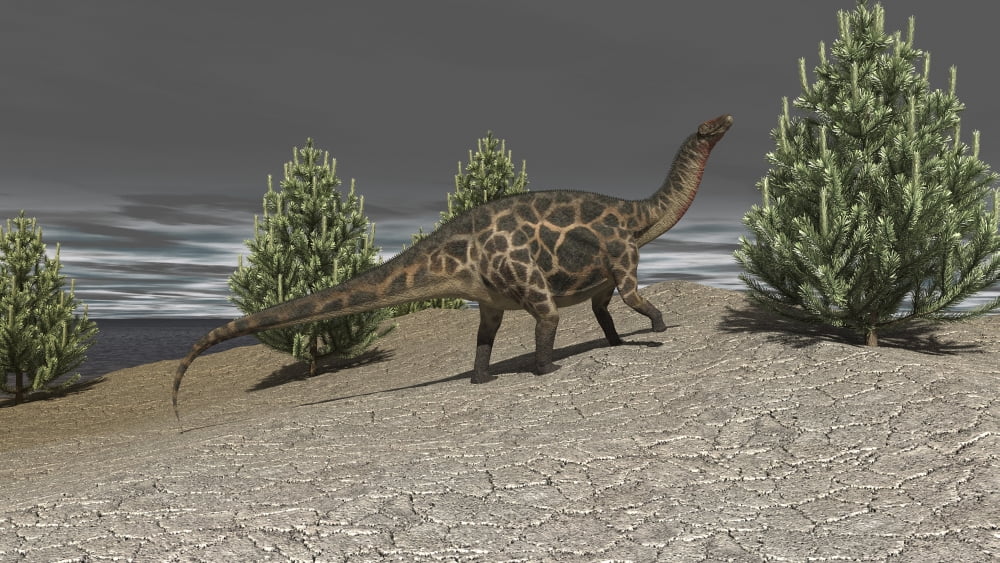 Dicraeosaurus walking amongst pine trees Canvas Art - Kostyantyn IvanyshenStocktrek Images (19 x 11)