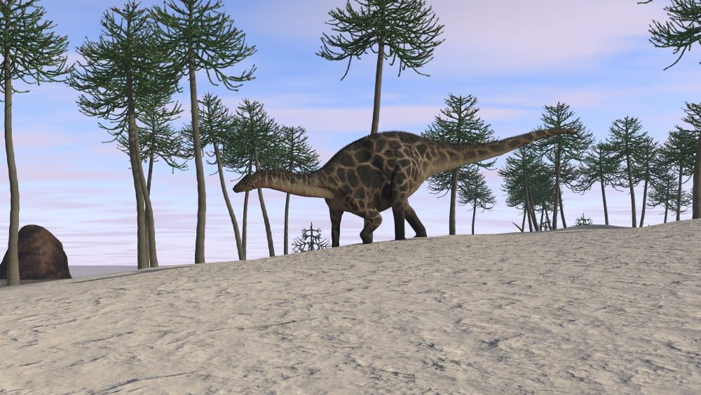 Dicraeosaurus walking in a tropical environment Canvas Art - Kostyantyn IvanyshenStocktrek Images (19 x 11)