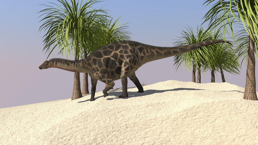 Dicraeosaurus walking in a tropical environment Canvas Art - Kostyantyn IvanyshenStocktrek Images (19 x 11)