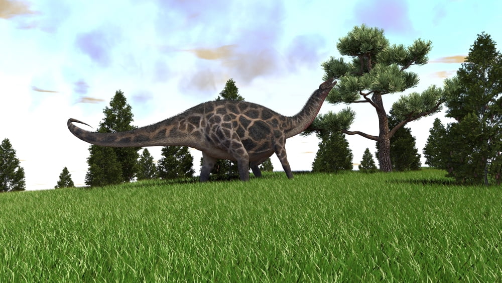 Dicraeosaurus walking in an open field Canvas Art - Kostyantyn IvanyshenStocktrek Images (38 x 22)