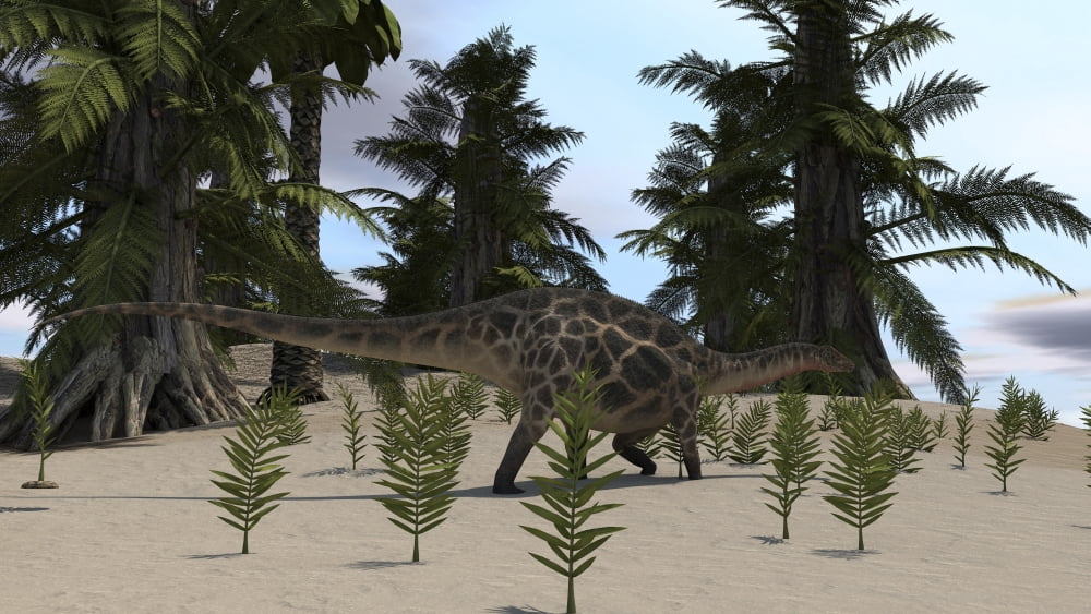 Dicraeosaurus walking through a desert environment Canvas Art - Kostyantyn IvanyshenStocktrek Images (38 x 22)