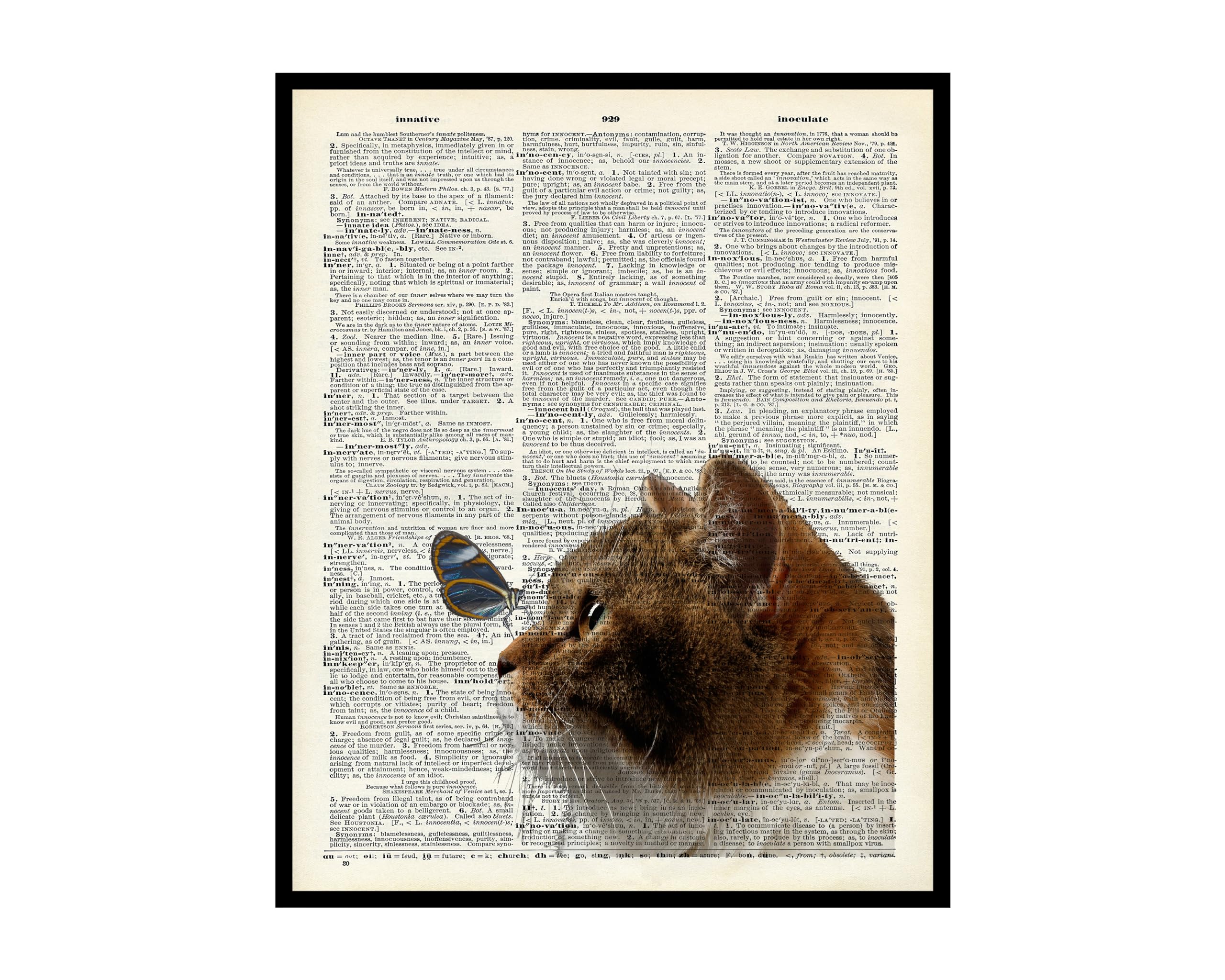 Dictionary Art Poster Butterfly on Cat Print Cat and Butterfly Art