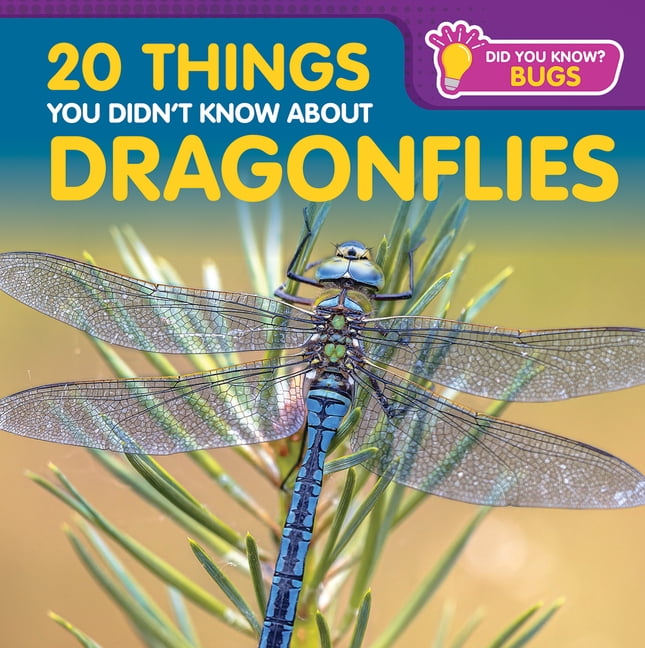 Did You Know? Bugs 20 Things You Didn't Know about Dragonflies, (Hardcover)