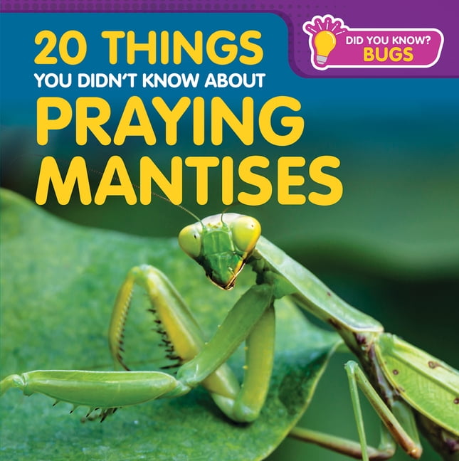 Did You Know? Bugs 20 Things You Didn't Know about Praying Mantises, (Paperback)