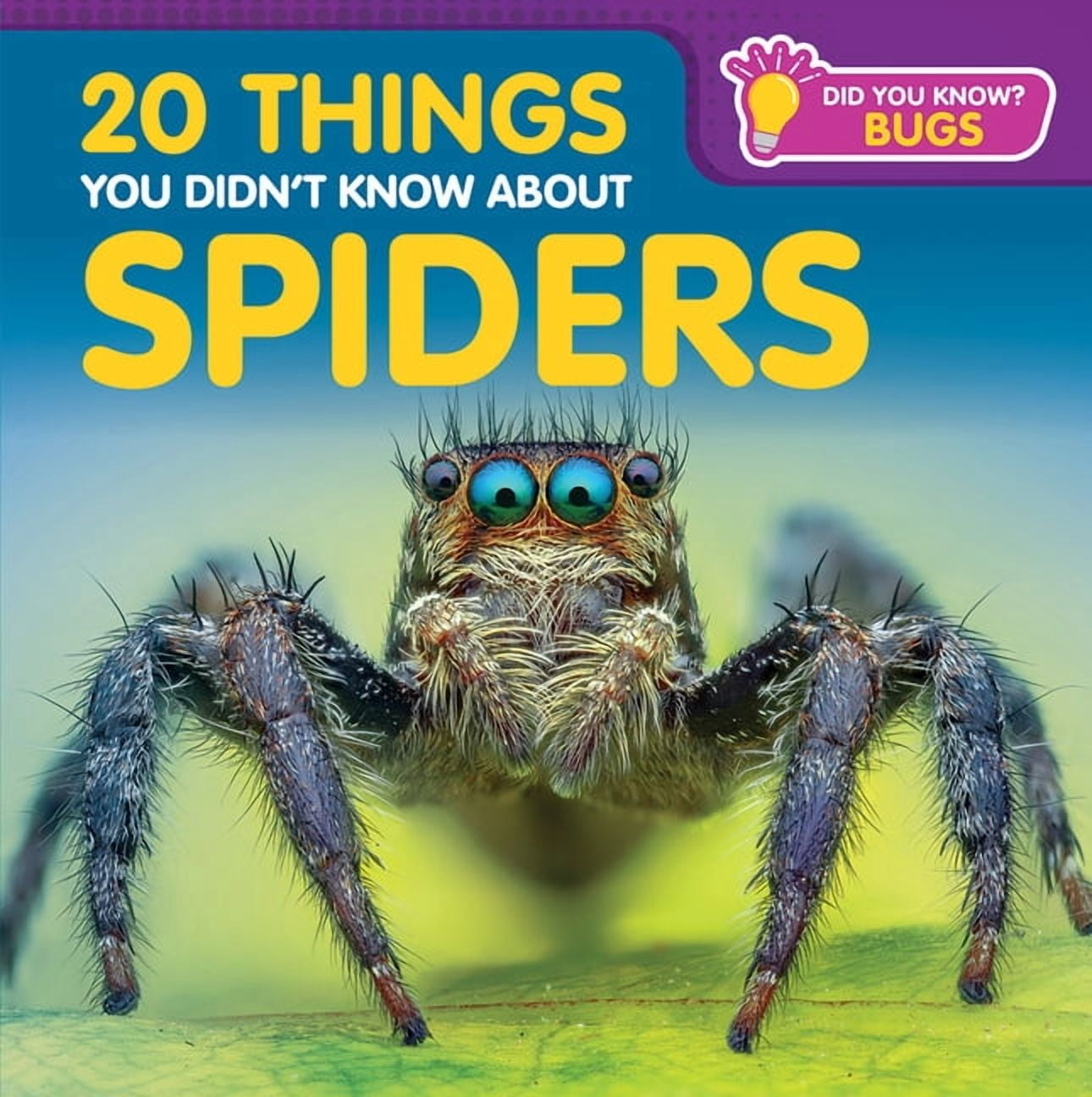 Did You Know? Bugs 20 Things You Didn't Know about Spiders, (Paperback)