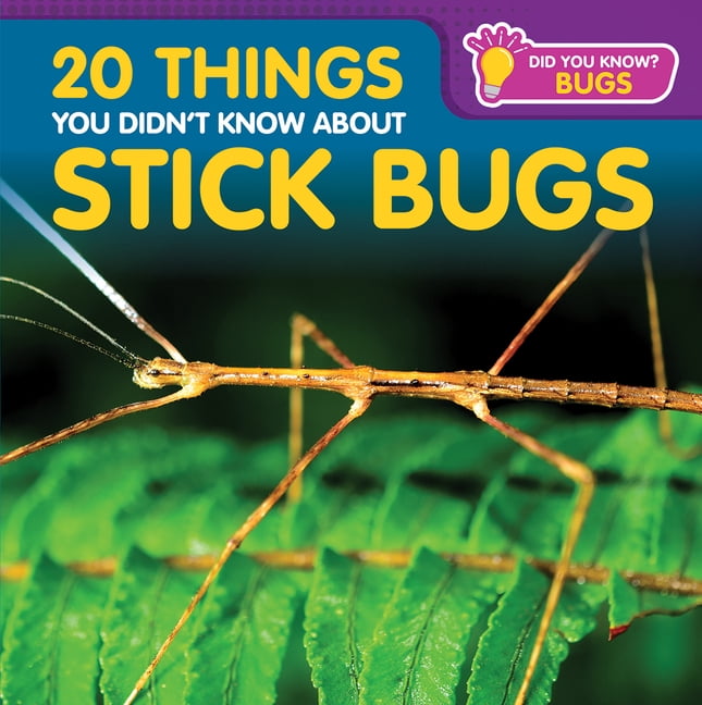 Did You Know? Bugs 20 Things You Didn't Know about Stick Bugs, (Paperback)