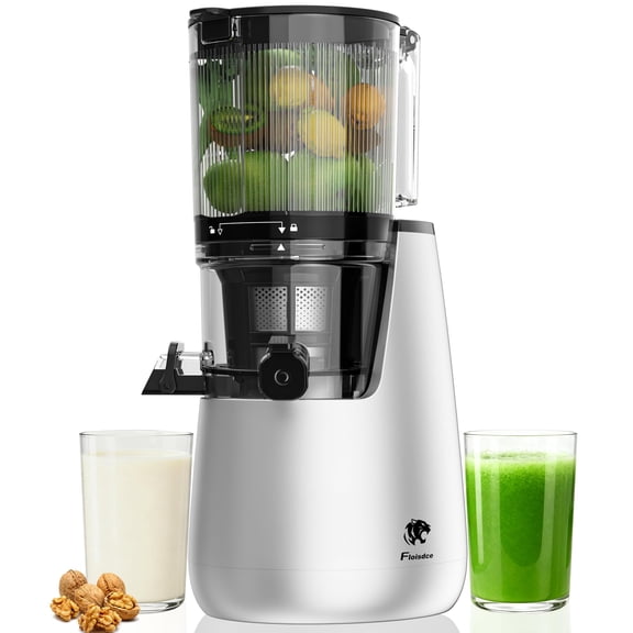 Diddaport Cold Press Juicer Machine with 5.3" Large Feed Chute,Slow Masticating for Whole Vegetables and Fruits, High Juice Yield, Auto-Reversing Function, AC Brushless Motor, 200 Watts,Silver