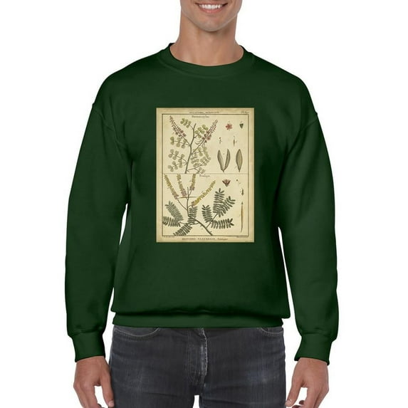 Diderot Antique Ferns Ii. Sweatshirt Men -Denis Diderot Designs, Male 4X-Large