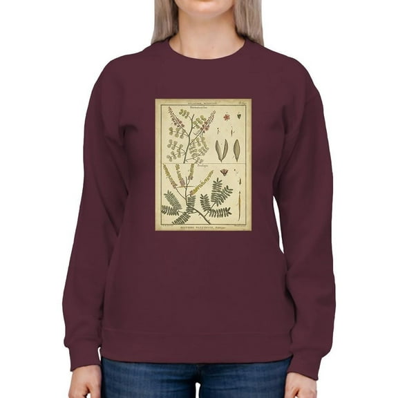 Diderot Antique Ferns Ii. Sweatshirt Women -Denis Diderot Designs, Female Medium