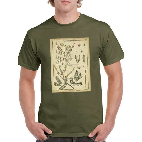 Diderot Antique Ferns Ii. T-Shirt Men -Denis Diderot Designs, Male 3X-Large