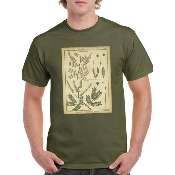 Diderot Antique Ferns Ii. T-Shirt Men -Denis Diderot Designs, Male 4X-Large