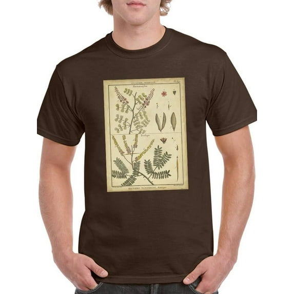 Diderot Antique Ferns Ii. T-Shirt Men -Denis Diderot Designs, Male Large