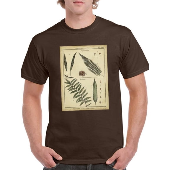 Diderot Antique Ferns Iii. T-Shirt Men -Denis Diderot Designs, Male 4X-Large