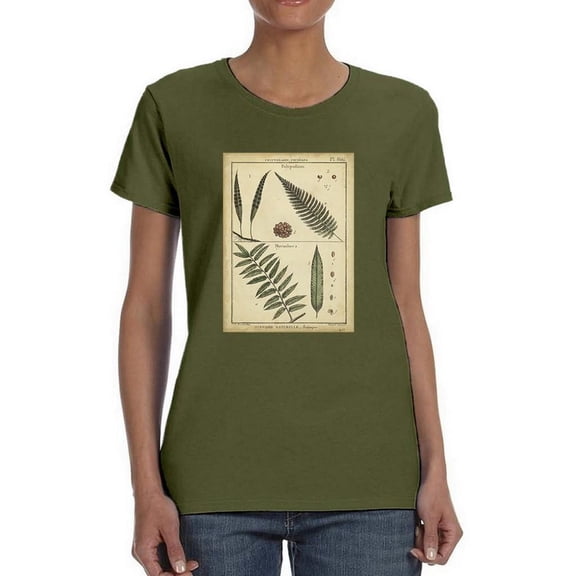 Diderot Antique Ferns Iii. T-Shirt Women -Denis Diderot Designs, Female x-Large