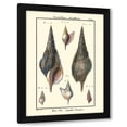 thumbnail image 1 of Denis Diderot 11x14 Black Modern Wood Framed Wall Art Titled - Sea Shells III, 1 of 6