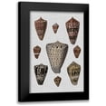 thumbnail image 1 of Diderot, Denis 11x14 Black Modern Framed Museum Art Print Titled - Shell Display I, 1 of 5