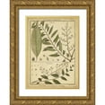 thumbnail image 1 of Diderot, Denis 11x14 Gold Ornate Wood Framed with Double Matting Museum Art Print Titled - Diderot Antique Ferns I, 1 of 4