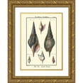 thumbnail image 1 of Diderot, Denis 19x24 Gold Ornate Wood Framed with Double Matting Museum Art Print Titled - Sea Shells III, 1 of 4
