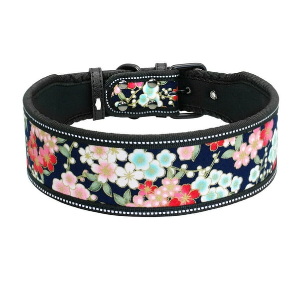 2 inch wide dog collars 2025