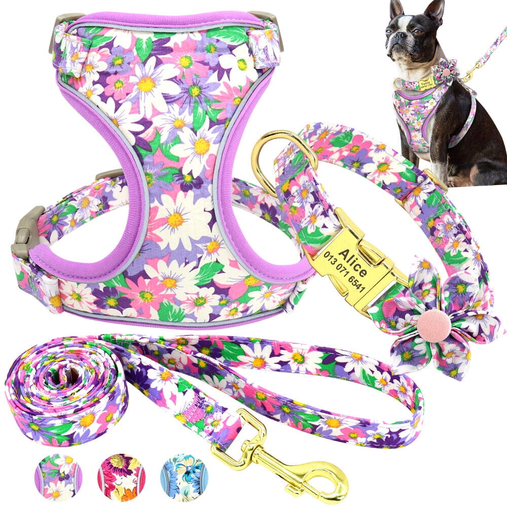 Didog 3pcs Personalized Dog Collar & Walking Leash & Soft Mesh Vest Harness Nylon S-L
