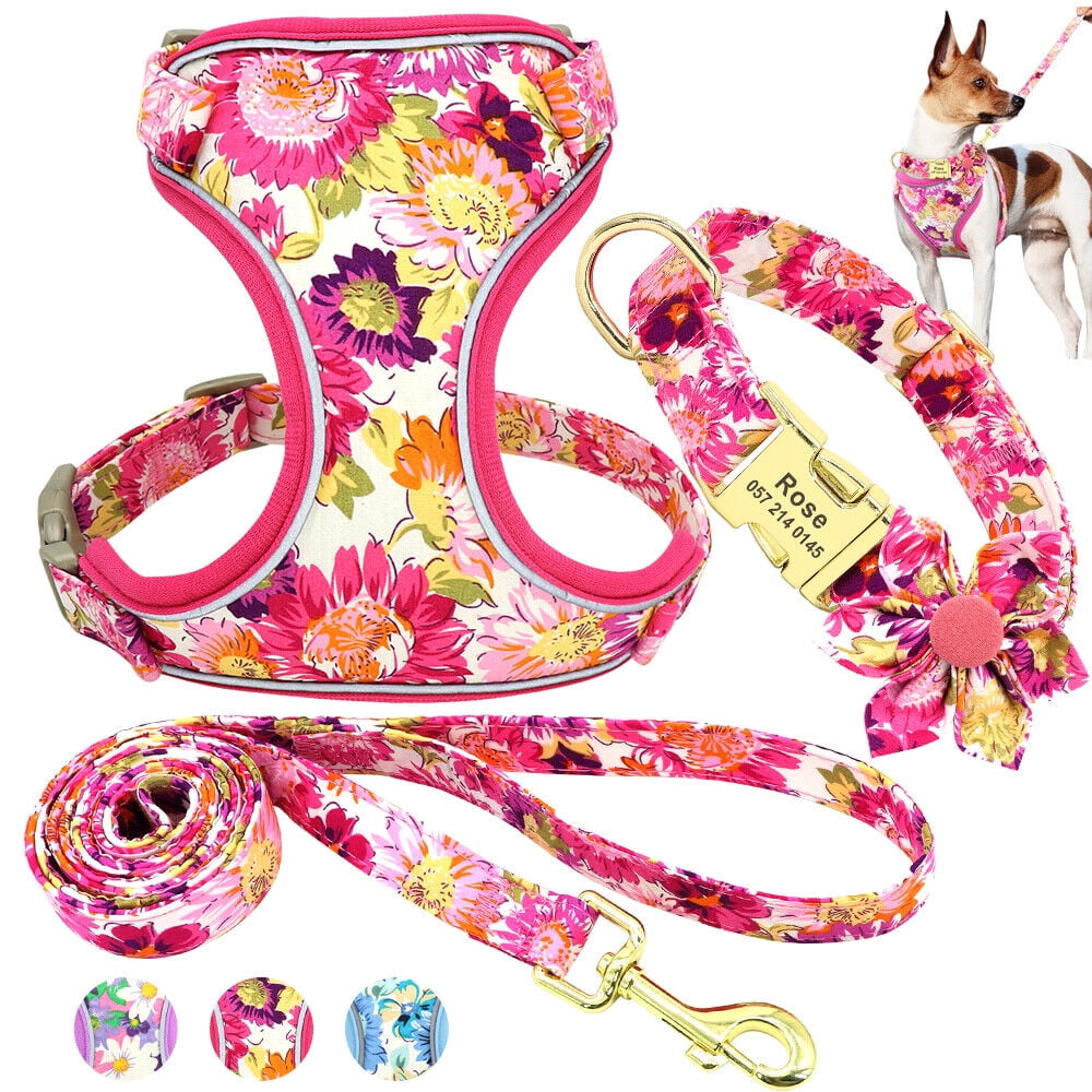 Didog 3pcs Personalized Dog Collar & Walking Leash & Soft Mesh Vest Harness Nylon S-L