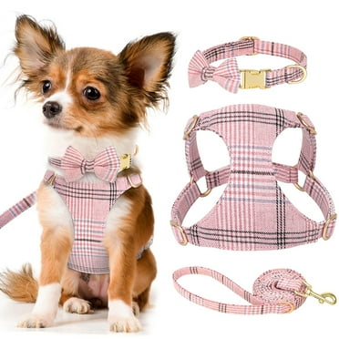 Didog 3pcs Small Dog Cat Puppy Collar and Lead with No Pull Pet Vest Harness Set XXS-S