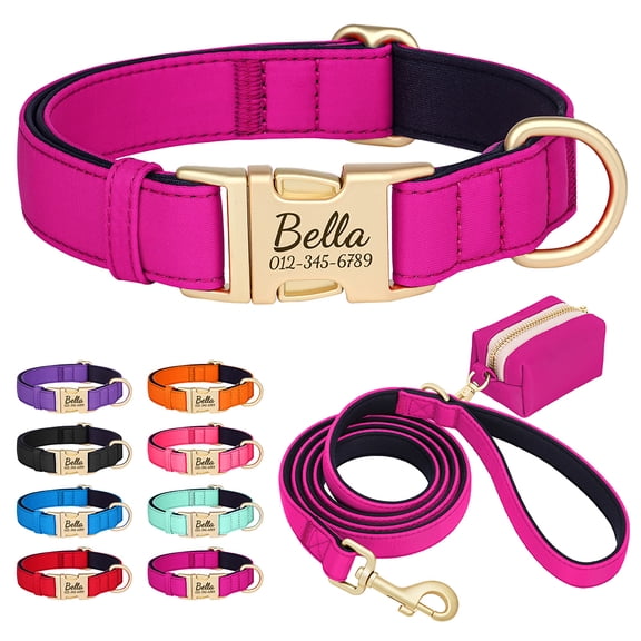Didog 3pcs Waterproof Durable Nylon Dog Collar and Matching Leash and Poo Bag set Soft Padded Metal Buckle for Small/Medium/Large Breeds 8 Colors