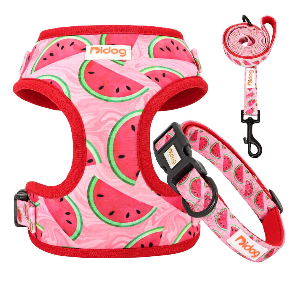 Didog 3pcs/set Cute Pet Dog Collar & Leash & Harness Soft Mesh Walking Vest Adjustable