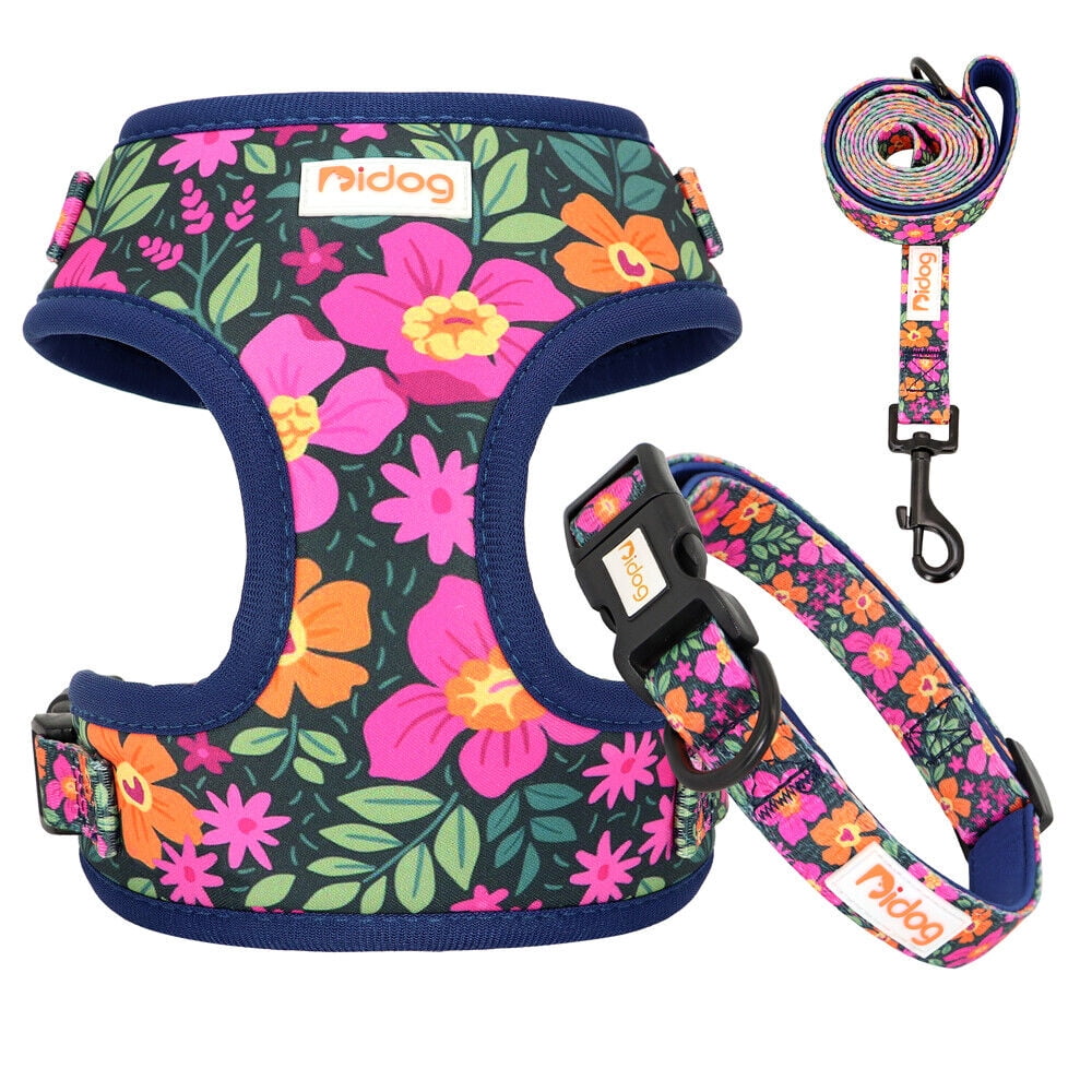 Didog 3pcs/set Cute Pet Dog Collar & Leash & Harness Soft Mesh Walking Vest Adjustable