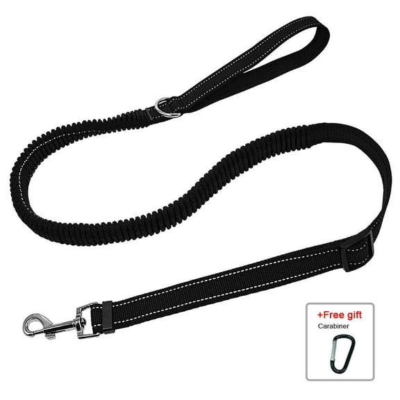 Didog 4-5ft Reflective Nylon Webbing Dog Leash Elastic Bungee Walking Lead & Carabiner