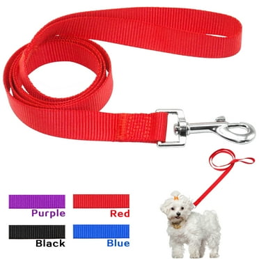 Didog 4ft Durable Nylon Dog Leash for Small Medium Dogs Puppy Walking Training Lead