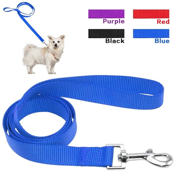 Didog 4ft Durable Nylon Dog Leash for Small Medium Dogs Puppy Walking Training Lead