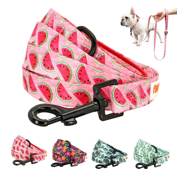 Didog 5ft Long Dog Leash Lead for Small Medium Large Dogs with Handle Flower Pattern